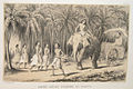 На дороге между Коломбо и Канди, 1848, Lettres sur l’Inde, Paris, Amyot