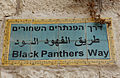 Black Panthers Alley Jerusalemissa