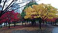 2014年11月26日 (水) 11:37時点における版のサムネイル