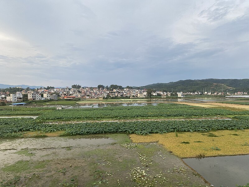 File:建水县农田 - 2023-08-13 03.jpg