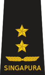 Rear admiral(Republic of Singapore Navy)[17]