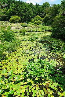 Rokkō Alpine Botanical Garden