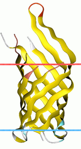 <span class="mw-page-title-main">OmpA-like transmembrane domain</span>