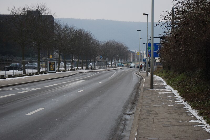 File:20130223 liege04.JPG