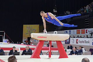 <span class="mw-page-title-main">Robert Seligman</span> Croatian artistic gymnast