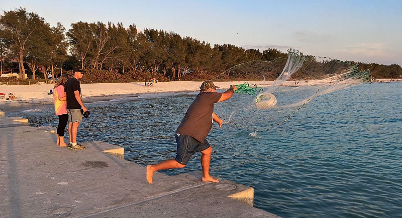 File:2017 Sarasota Cortez Beach Cast Net Fishing Sequence 06 of 11 FRD 7099.jpg