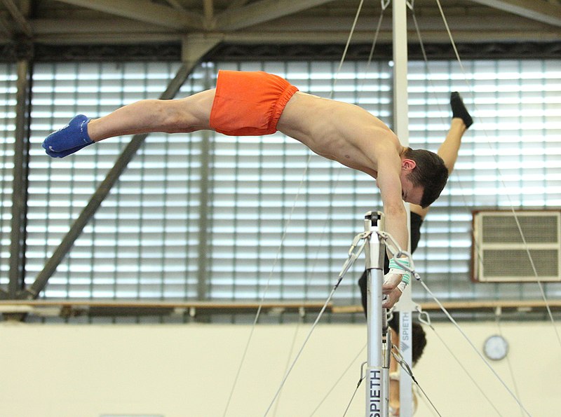 File:2019-05-24 Budapest Cup training horizontal bar (Martin Rulsch) 136.jpg