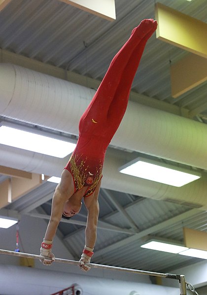 File:2019-11-30 OHC Liberec 2019 MAG Apparatus finals Horizontal bar (Martin Rulsch) 107.jpg