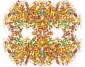 Thumbnail for Dihydrolipoyllysine-residue (2-methylpropanoyl)transferase