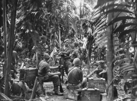 Members of the 31st/51st Battalion around Porton Plantation, June 1945