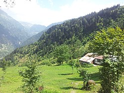 61830 Darılı-Of-Trabzon, Turkey - panoramio.jpg