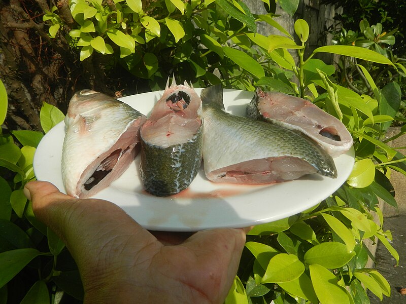 File:9526Bugaong and Bangus fillets 13.jpg