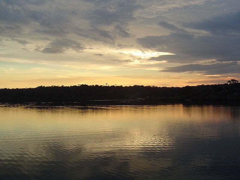 File:ANAVILHANAS RIO NEGRO - panoramio (2).jpg