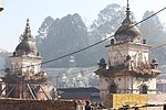 नेपाल पशुपतिनाथ मन्दिर