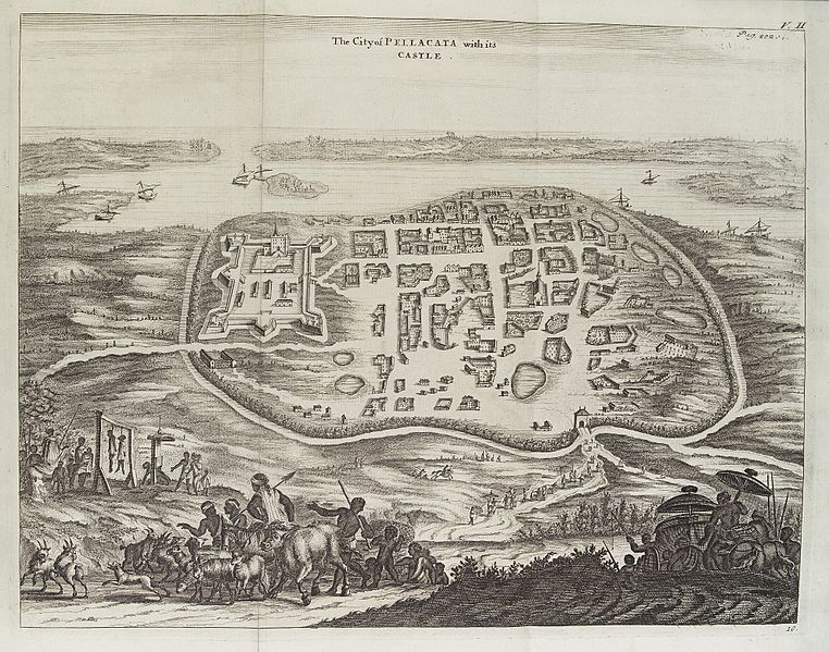 File:A plan of the city of Pellacata with its Castle Wellcome L0038176.jpg