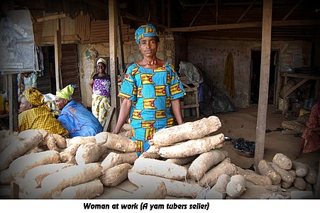 A woman selling Yam tubers