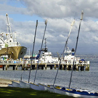 Port of Tauranga Port in New Zealand
