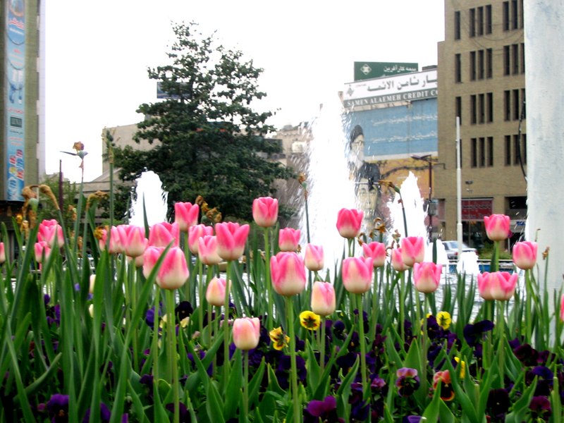 File:Abbasabad, Tehran, Tehran, Iran - panoramio - Behrooz Rezvani (28).jpg