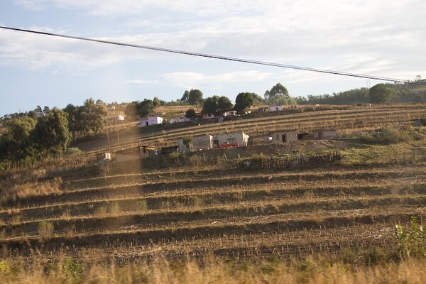 Agricultural terraces near Mbabane (Eswatini).jpg