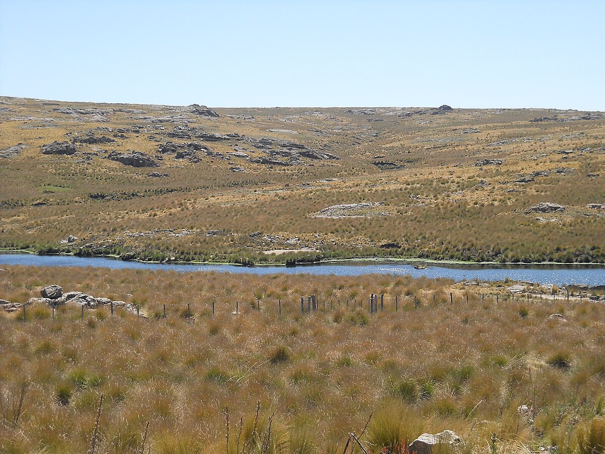 Campos de altitude – Wikipédia, a enciclopédia livre