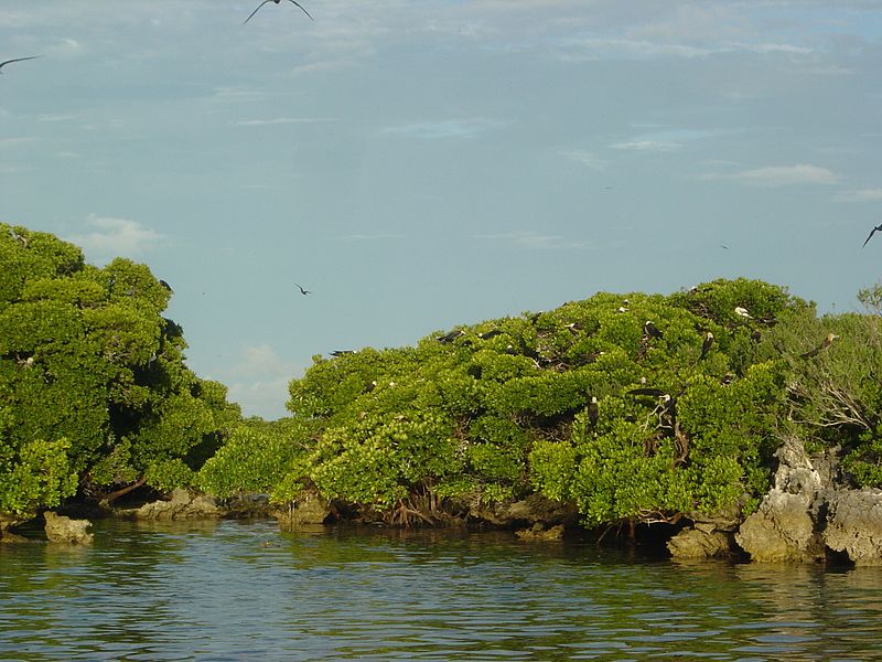 File:Aldabra Atoll-108994.jpg