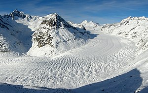 אלטש הוא קרחון יבשתי בהרי האלפים, הממוקם על גבולו הצפוני של קנטון ואלה עם קנטון ברן בשווייץ.