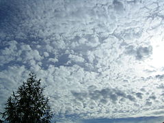 18.5.10 Altocumulus stratiformis