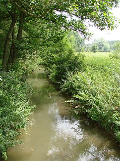 De rivier bij Faverolles-et-Coëmy