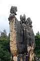 English: Stone Forest of Shilin, China