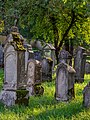 * Nomination Gravestones at the Jewish cemetery near Aufseß --Ermell 06:51, 7 January 2021 (UTC) * Promotion  Support Good quality. --Granada 07:50, 7 January 2021 (UTC)