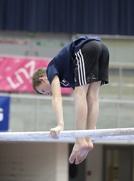 File:Austrian Future Cup 2018-11-23 Training Afternoon Parallel bars (Martin Rulsch) 0278.jpg