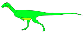 <i>Austrocheirus</i> Genus of reptiles (fossil)