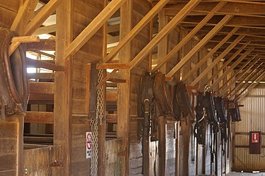 Inside the stables at Avondale Avondale ag rs gnangarra 06.JPG