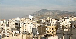 اردوگاه البداوی ۲۰۰۹