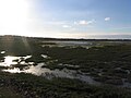 Le fond de la baie de Goulven à marée basse.