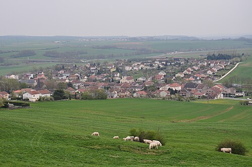 Rideau métallique Bainville-sur-Madon (54550)