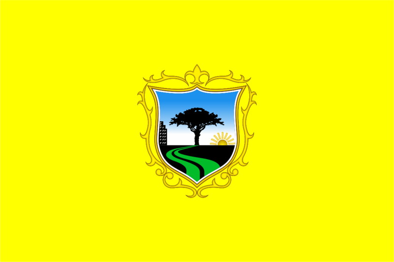 File:Bandera de San Borja.png