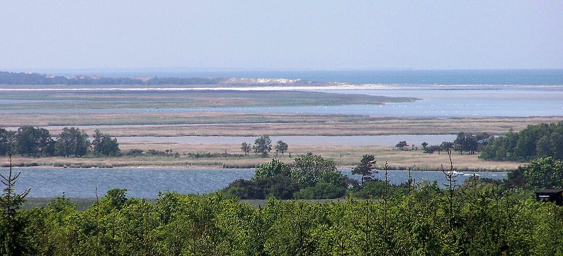 Parque nacional de la laguna de Pomerania Occidental