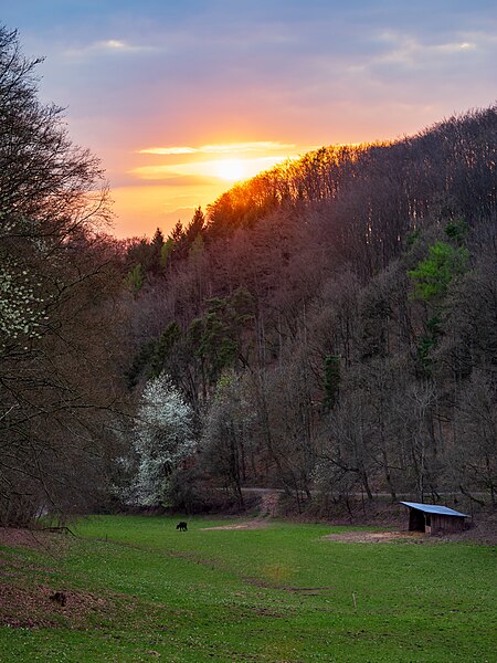 File:Beilstein - Klingen - Tal oberhalb von Klingen bei Sonnenuntergang (1).jpg