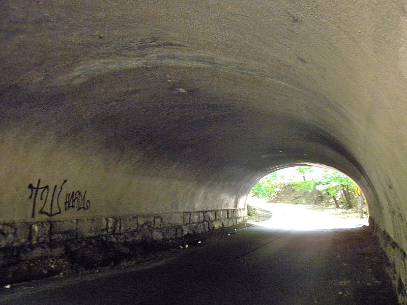 File:Belmont Bridge Interior.JPG