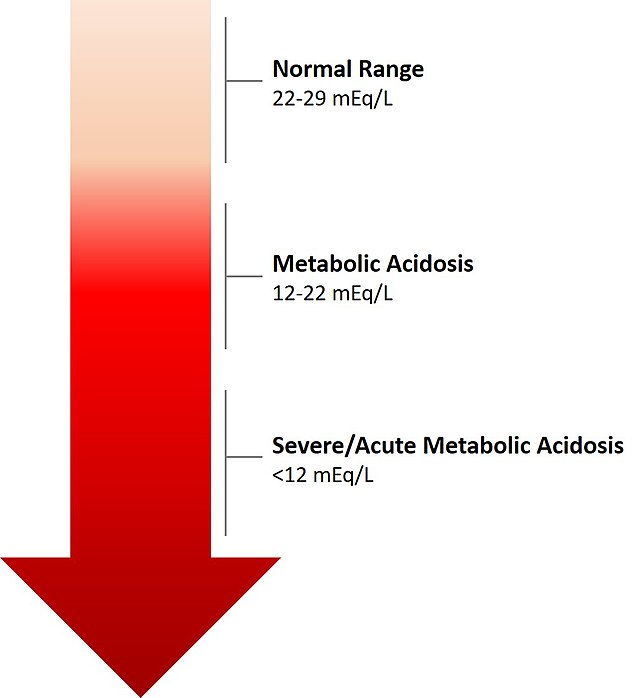 Hypoxia (medicine) - Wikipedia