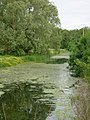 l'Ardusson à Marigny-le-Châtel