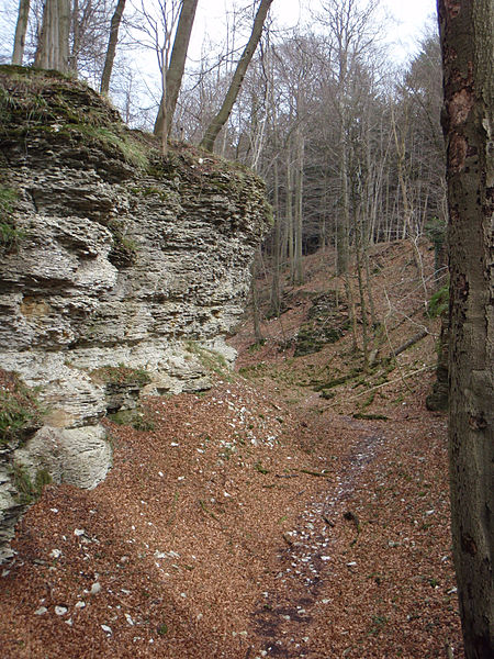 File:Bielsteinschlucht.JPG