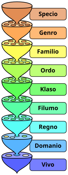 File:Biological classification L Pengo-eo-alt.svg