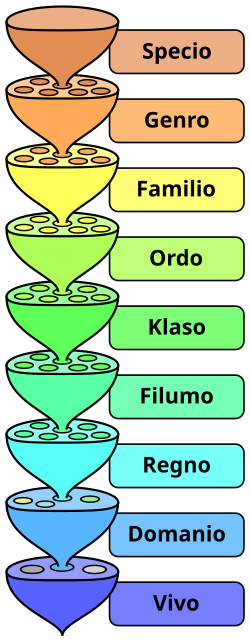 Miniatuur voor Bestand:Biological classification L Pengo-eo-alt.svg