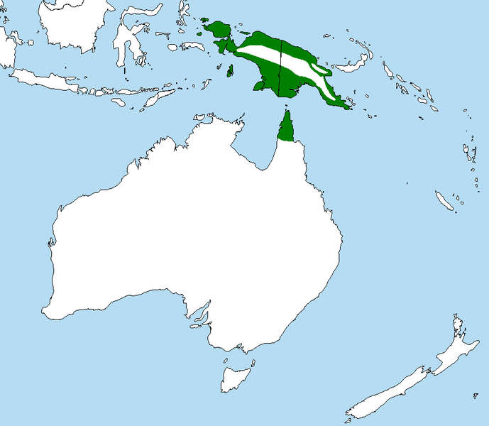 File:Bird range palm cockatoo.png