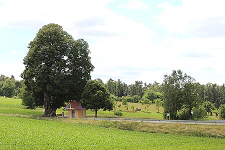 Buch Bodenwöhr 17 06 2017 01