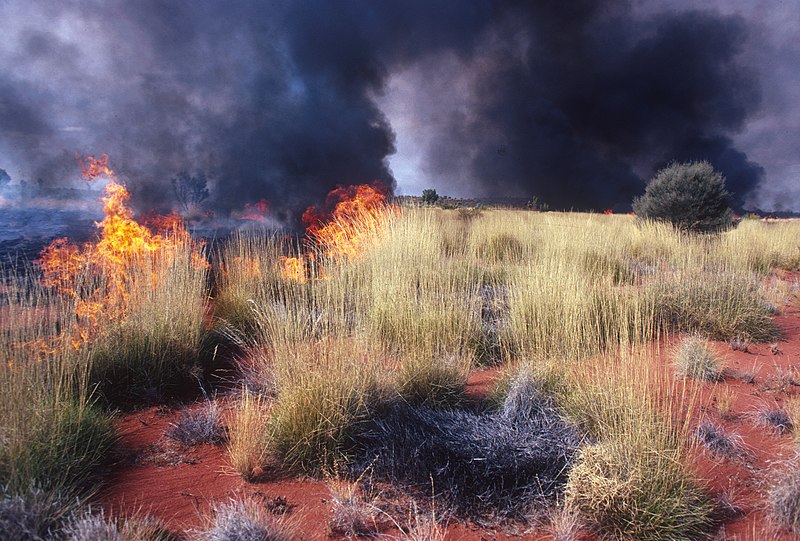 File:CSIRO ScienceImage 1327 Bush fire.jpg