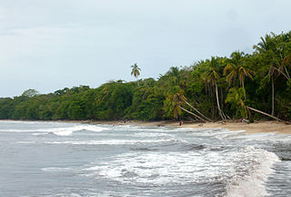 Cahuita National Park