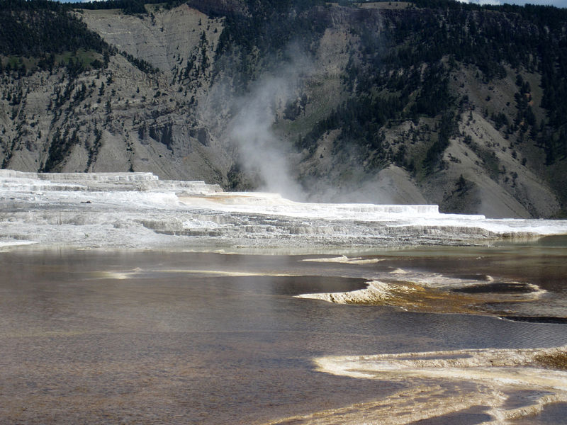 File:Canary Spring (bottom) (9 August 2011) (14559714772).jpg